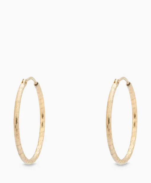 Dames Anna+nina Sieraden*Oorbellen Hammered Plain Hoop Earrings Xl Silver G Goud
